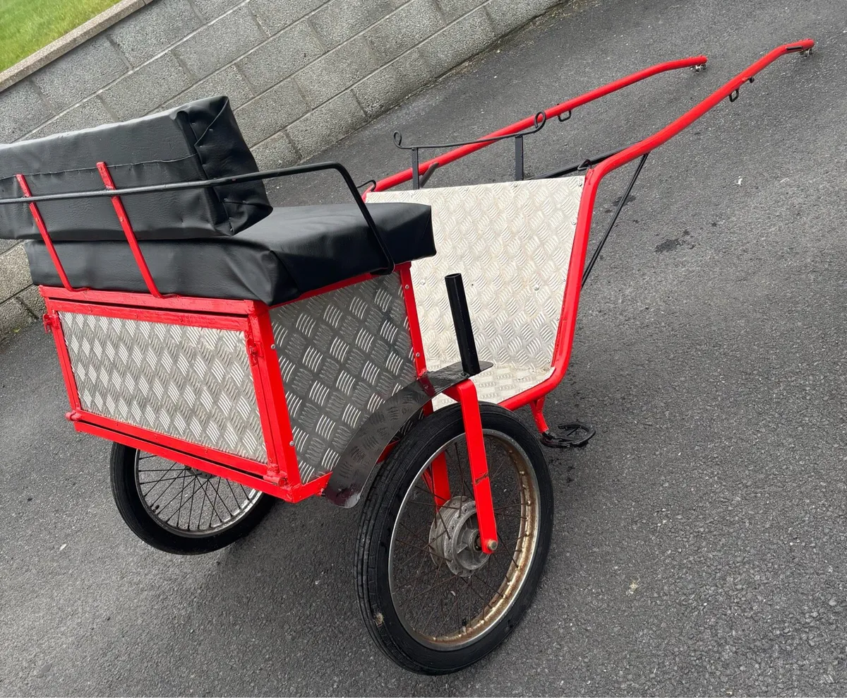 New Duhig Road cart cob size - Image 3
