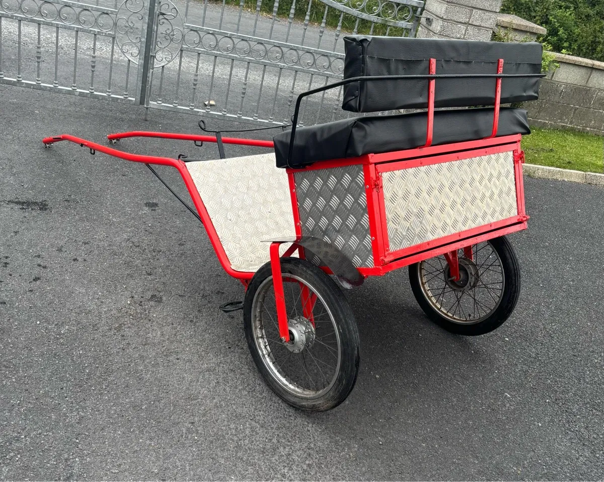 New Duhig Road cart cob size - Image 4