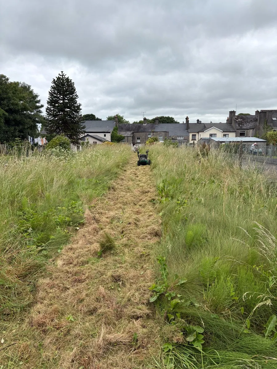 Grass Maintenance - Image 2