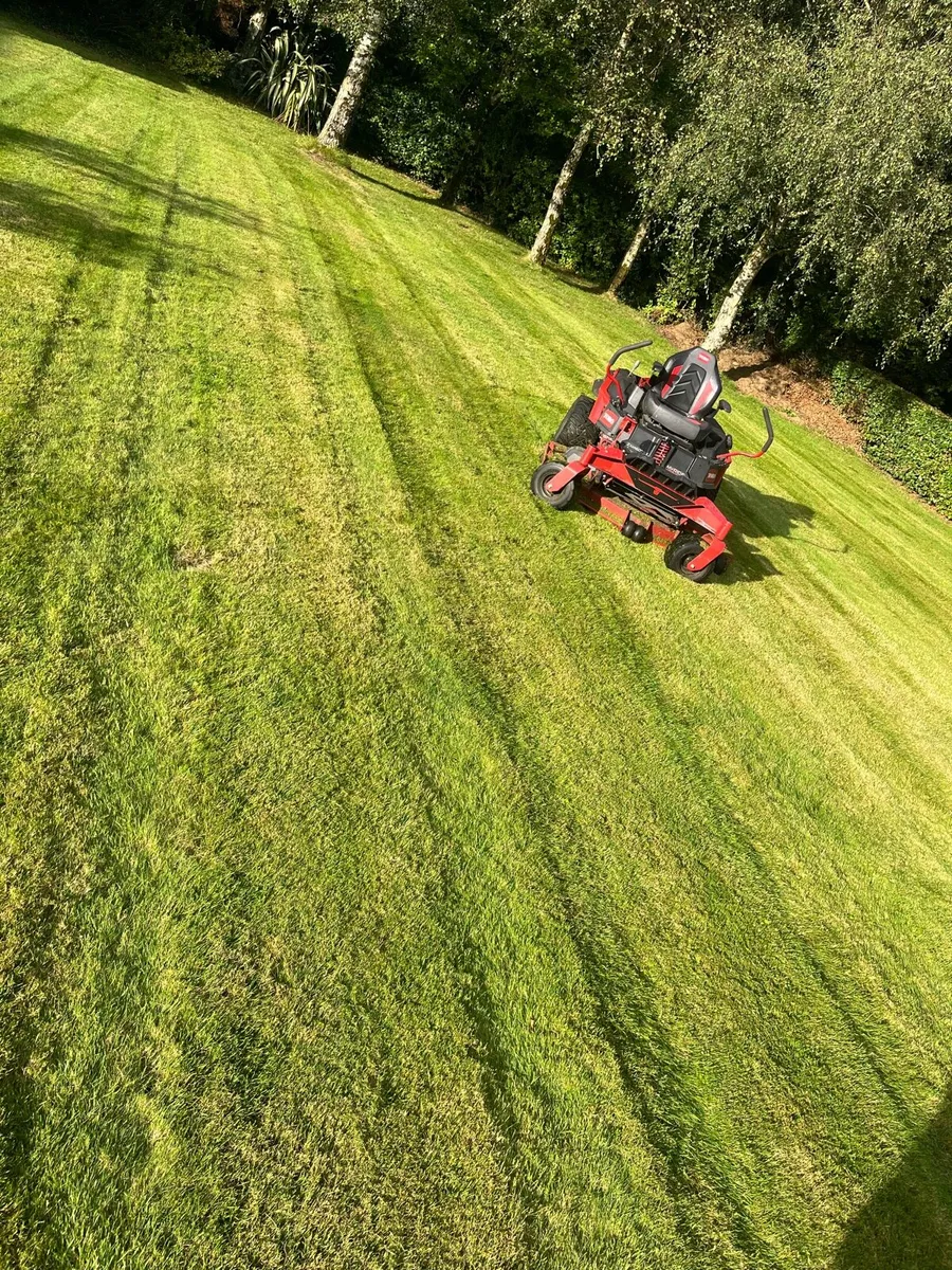 Grass Maintenance - Image 1