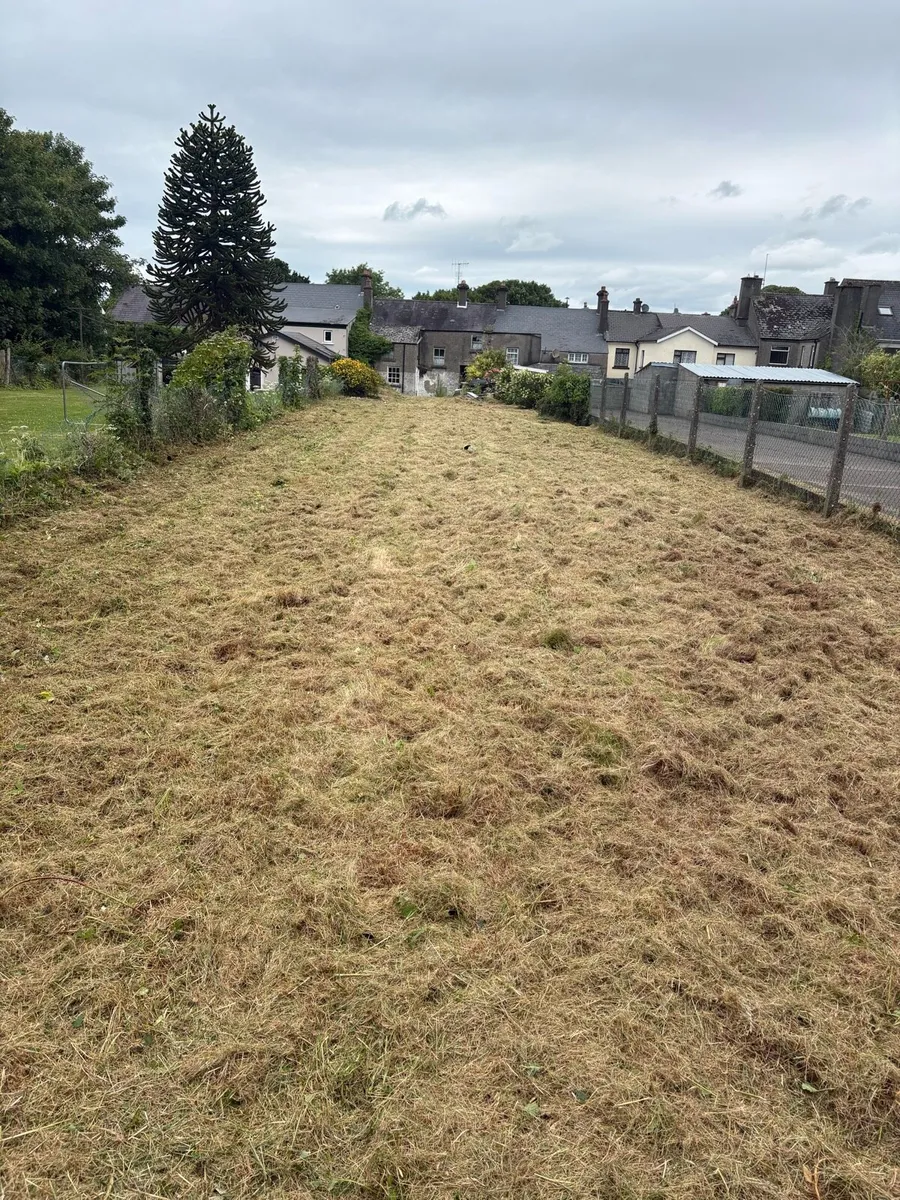 Grass Maintenance - Image 3