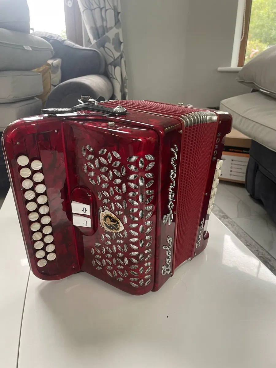 Accordion - Image 3