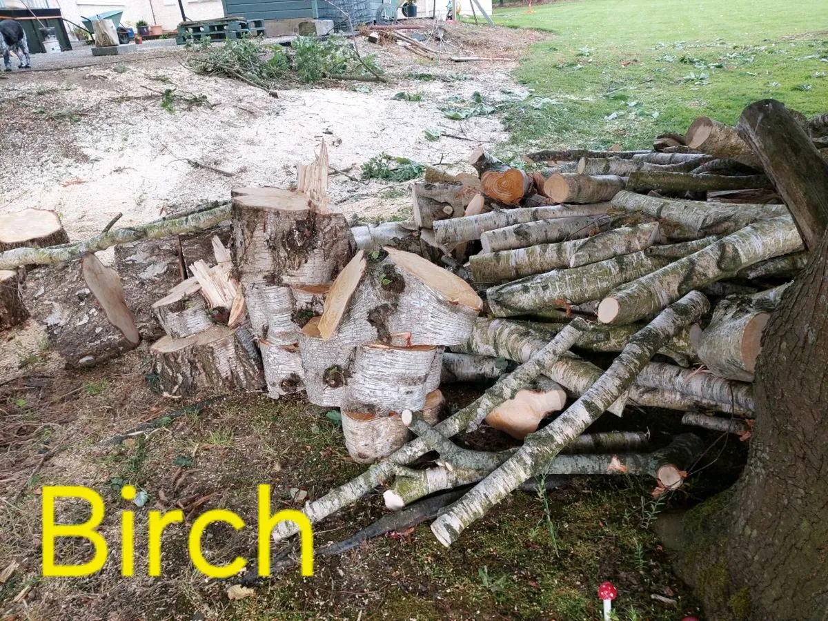 Firewood - Image 1