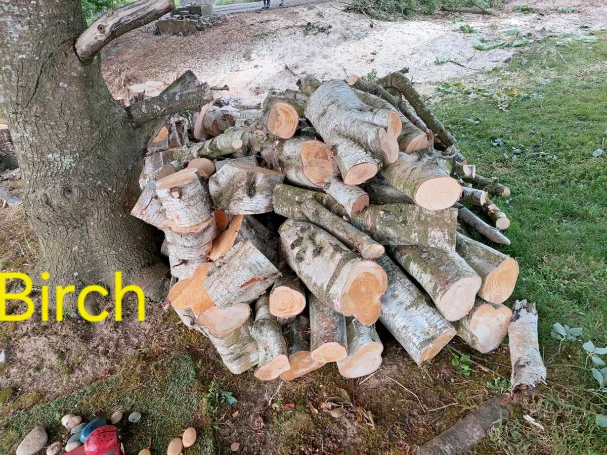 Firewood - Image 2