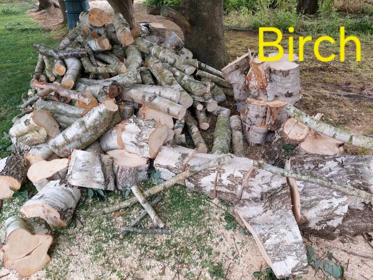 Firewood - Image 3