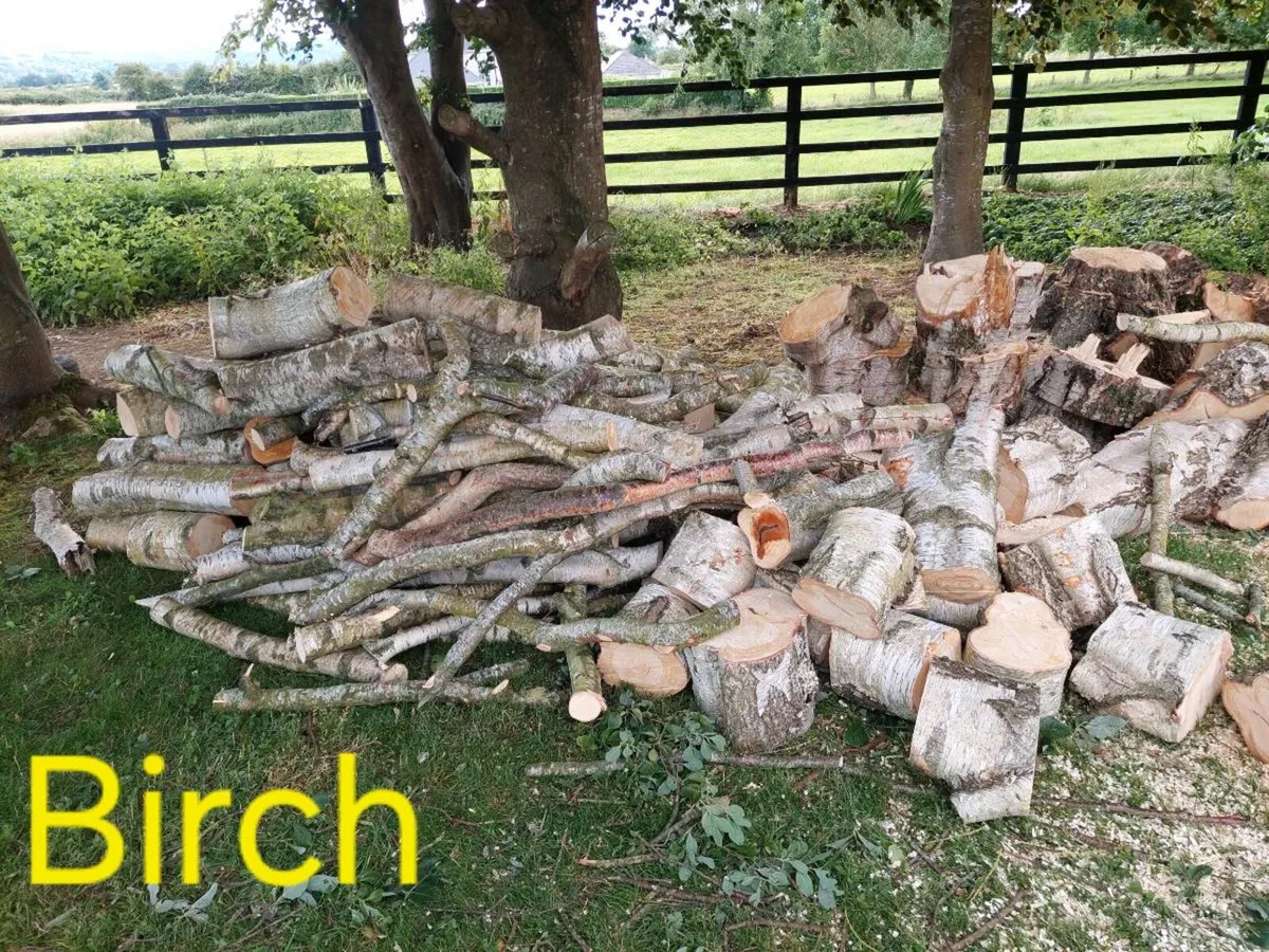 Firewood - Image 4