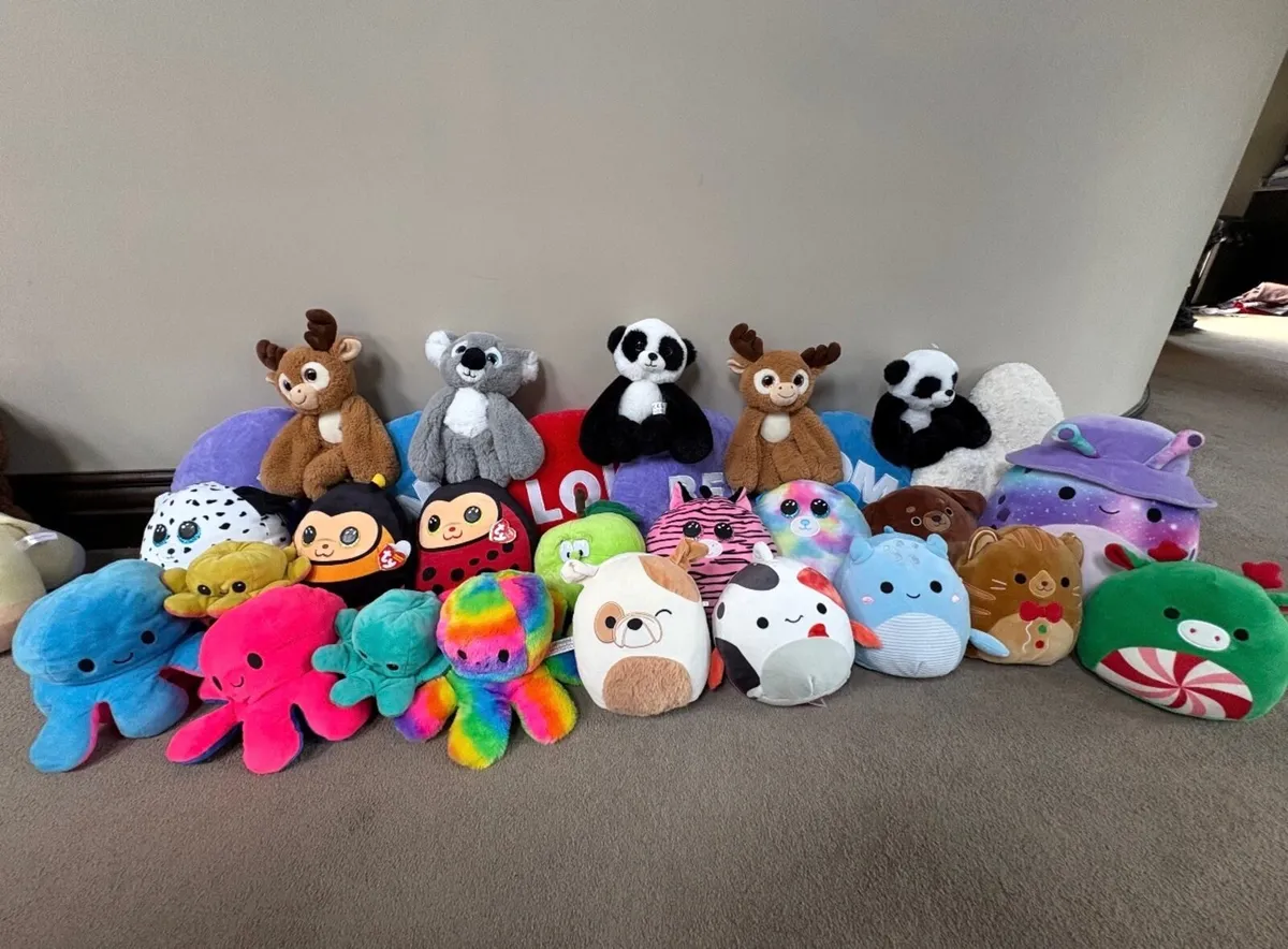 Teddies