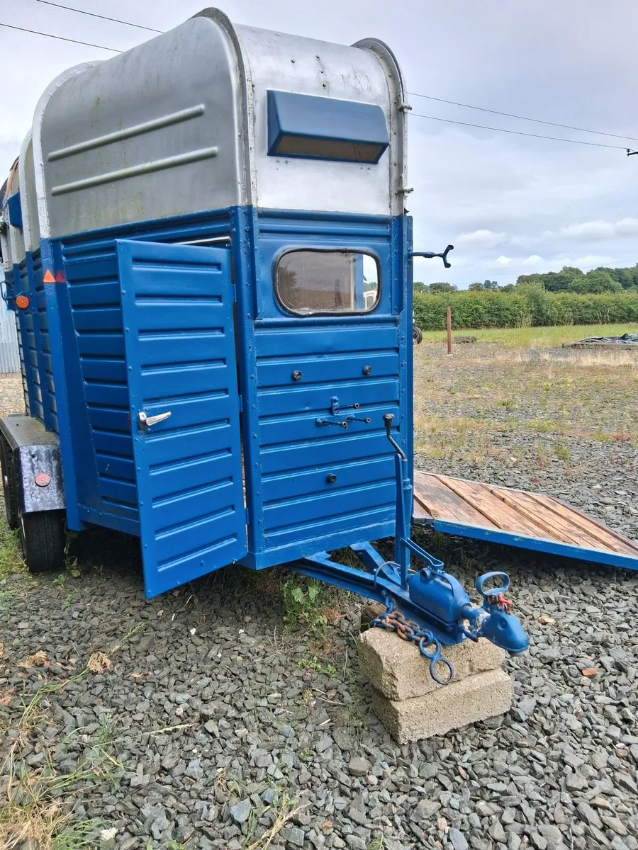 Refurbushed Rice Horsebox - Image 1