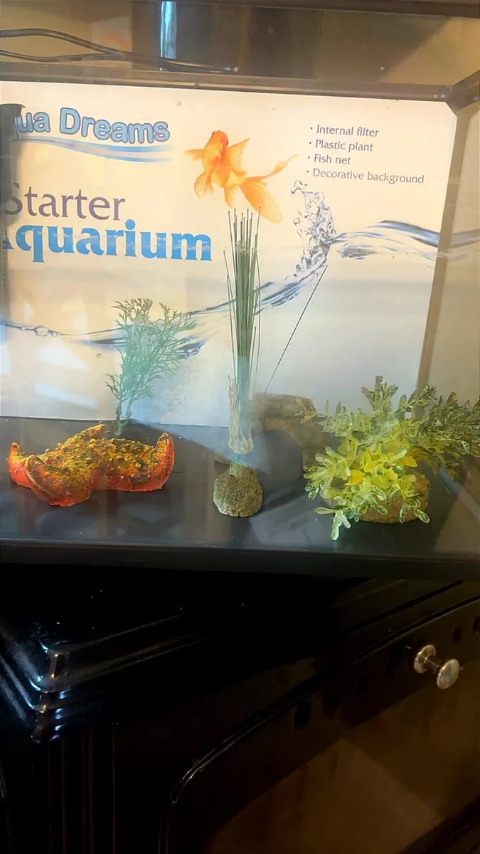 Fish tank 18L and filter , stones, accessories - Image 2