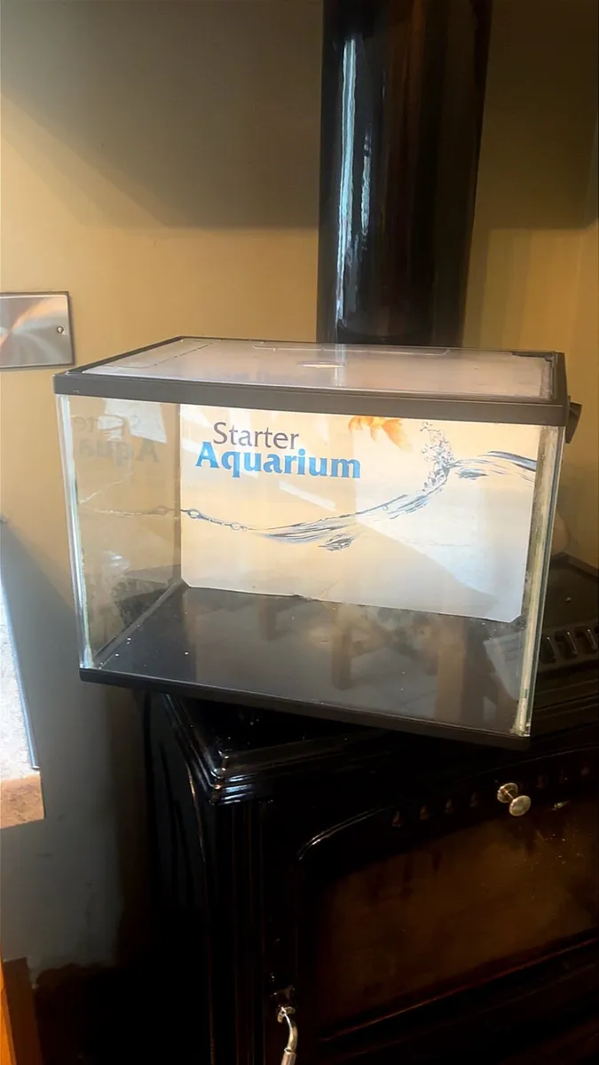 Fish tank 18L and filter , stones, accessories - Image 1