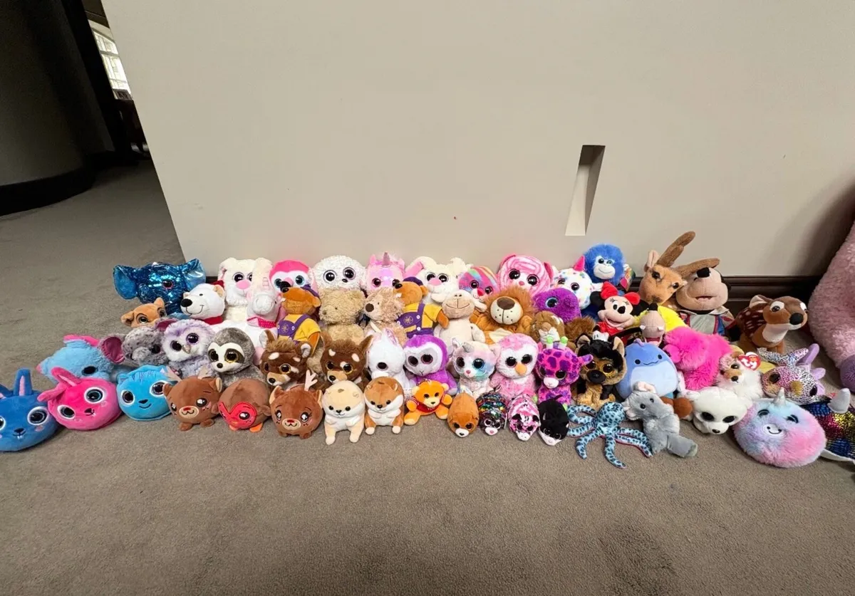 Teddies