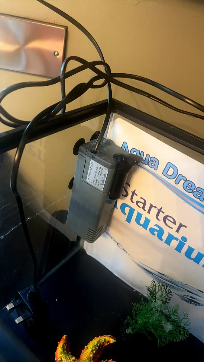 Fish tank, 18L, filter and accessories - Image 2