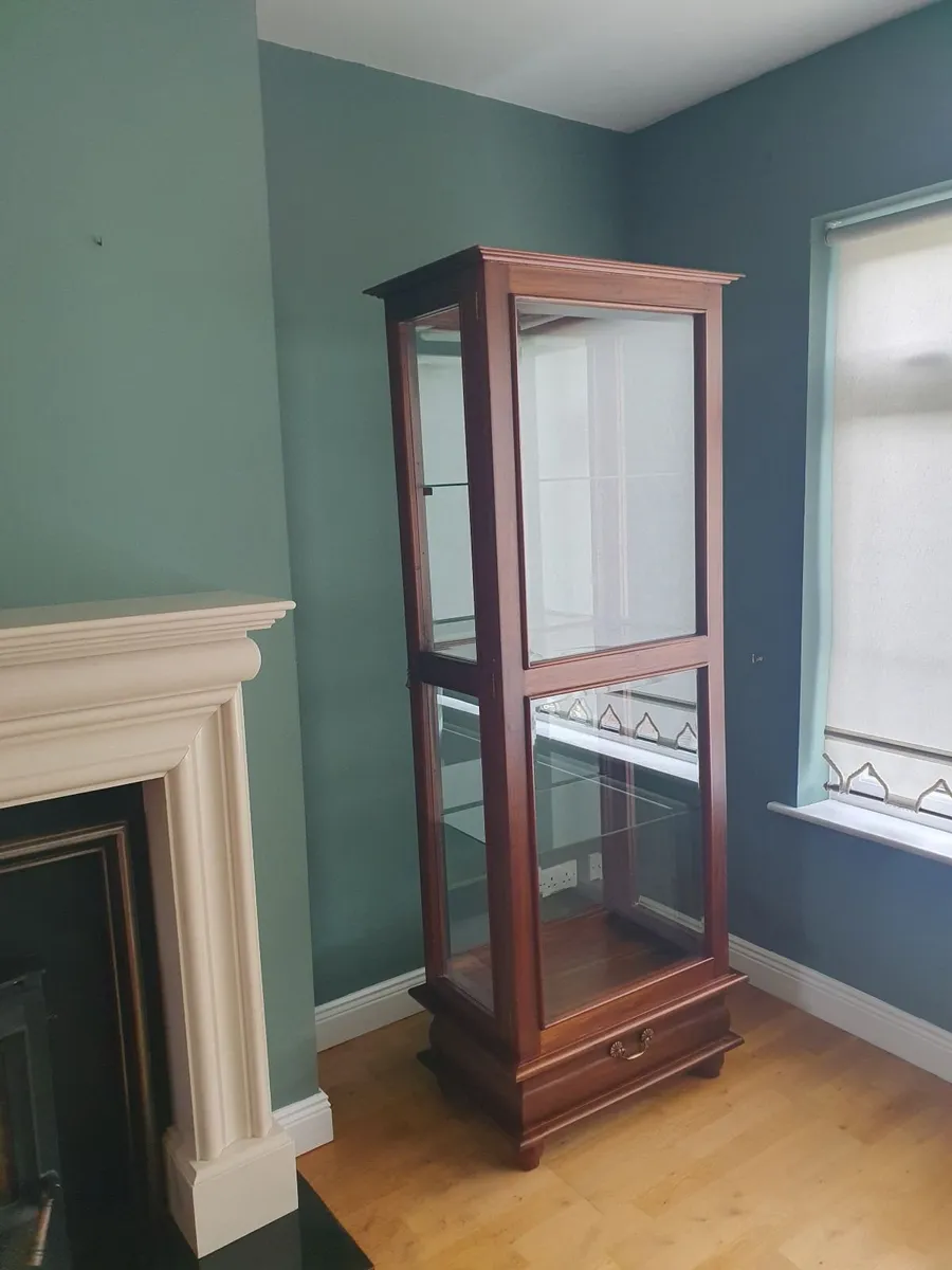 Mahogany Display Cabinet - Image 1