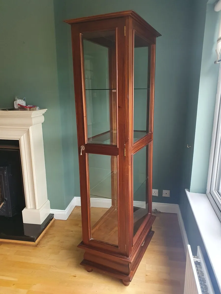 Mahogany Display Cabinet - Image 3