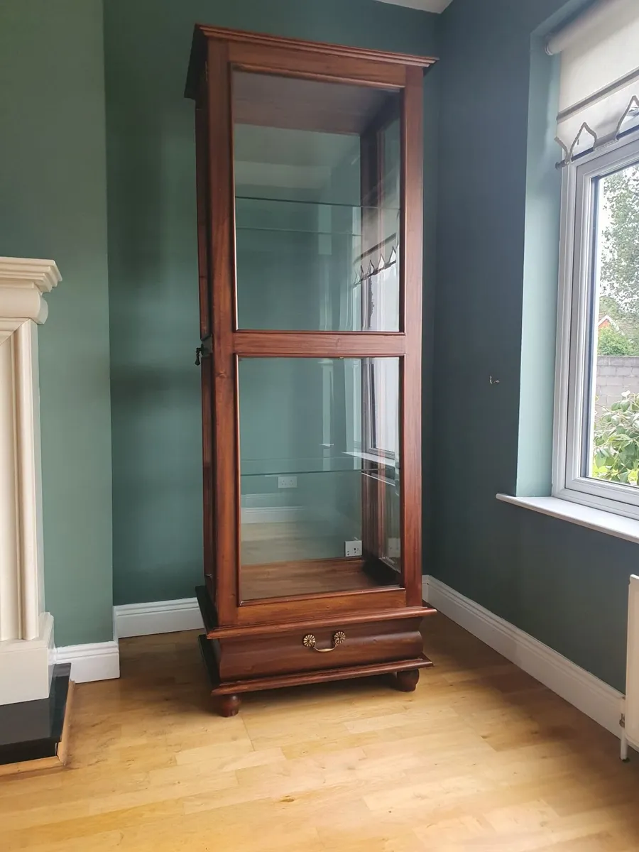 Mahogany Display Cabinet - Image 4