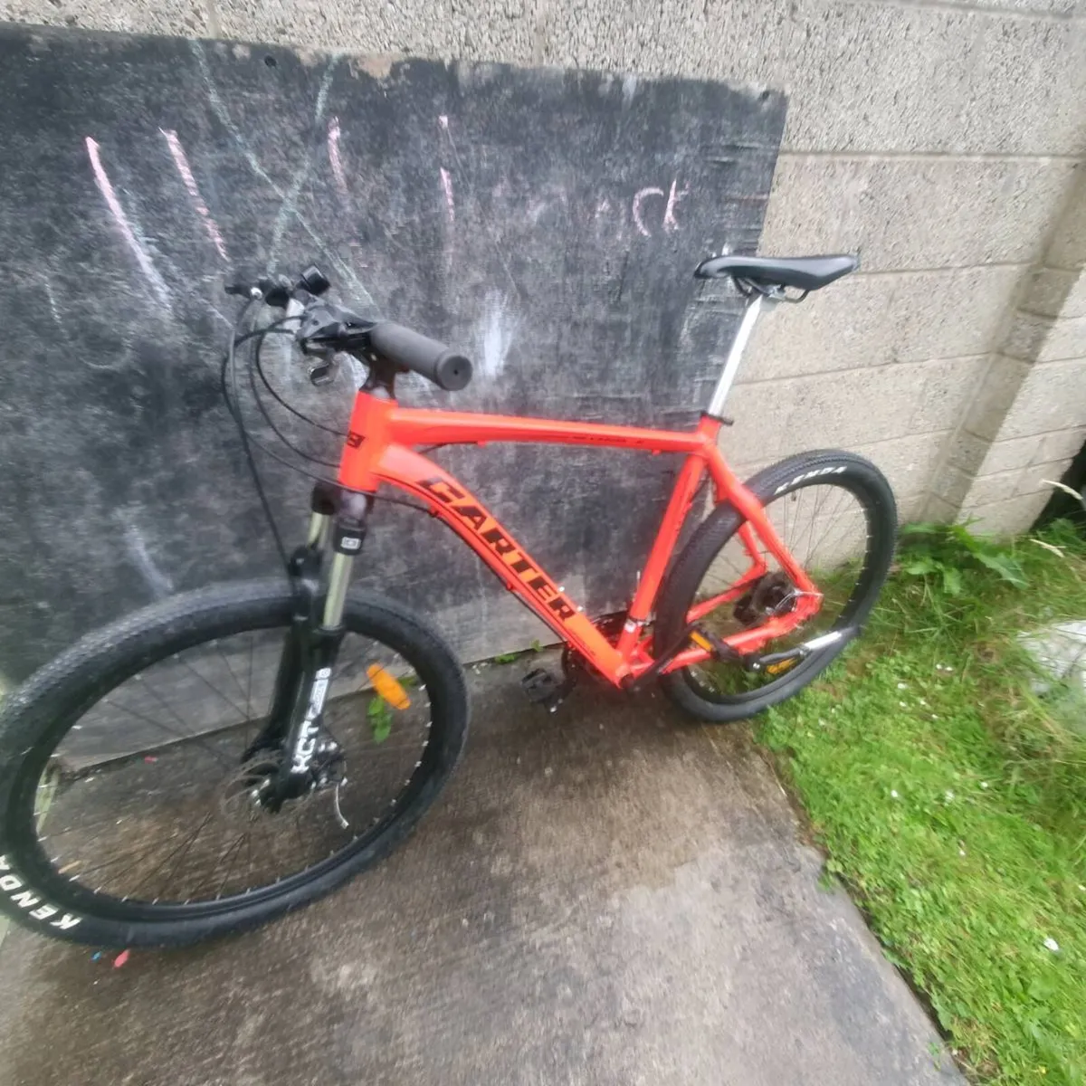 Carter mountain bike - Image 1
