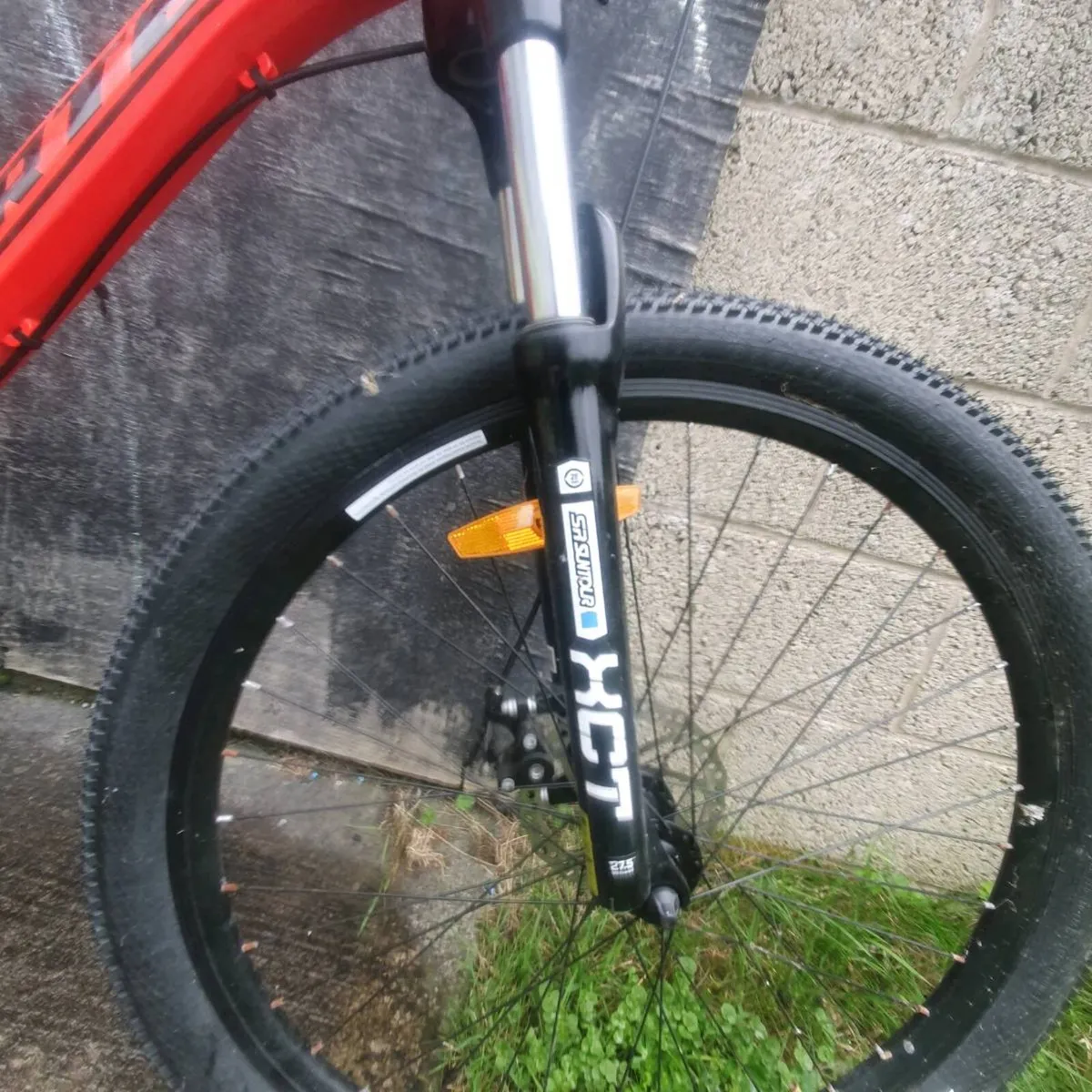 Carter mountain bike - Image 4