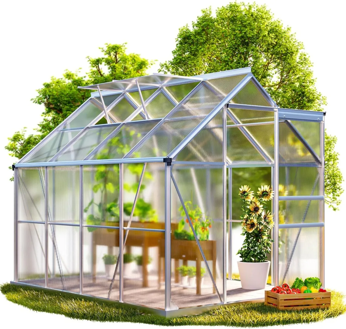 Aluminium Greenhouse 8.2ft × 6.2ft Walk-In - Image 3