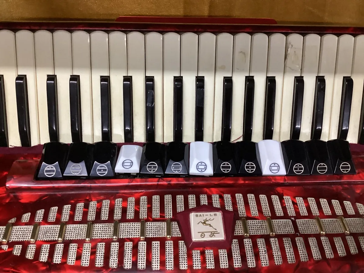 Baile 120 bass full size piano accordion used - Image 2