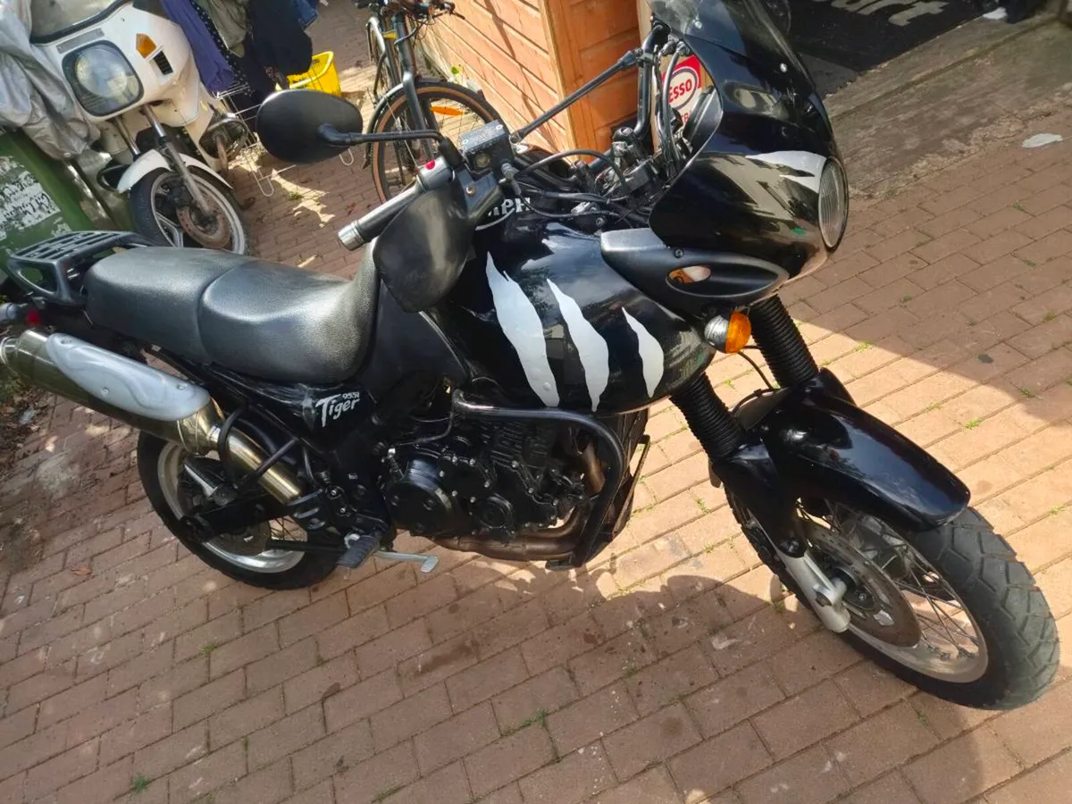 Triumph Tiger 955i - Image 2