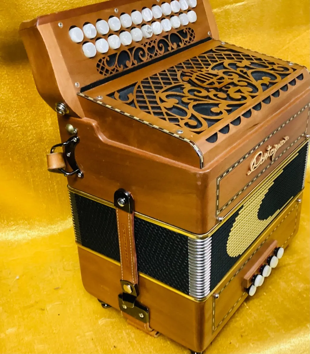 USED DINN III C#/D CASTAGNARI 3 VOICE ACCORDION - Image 2