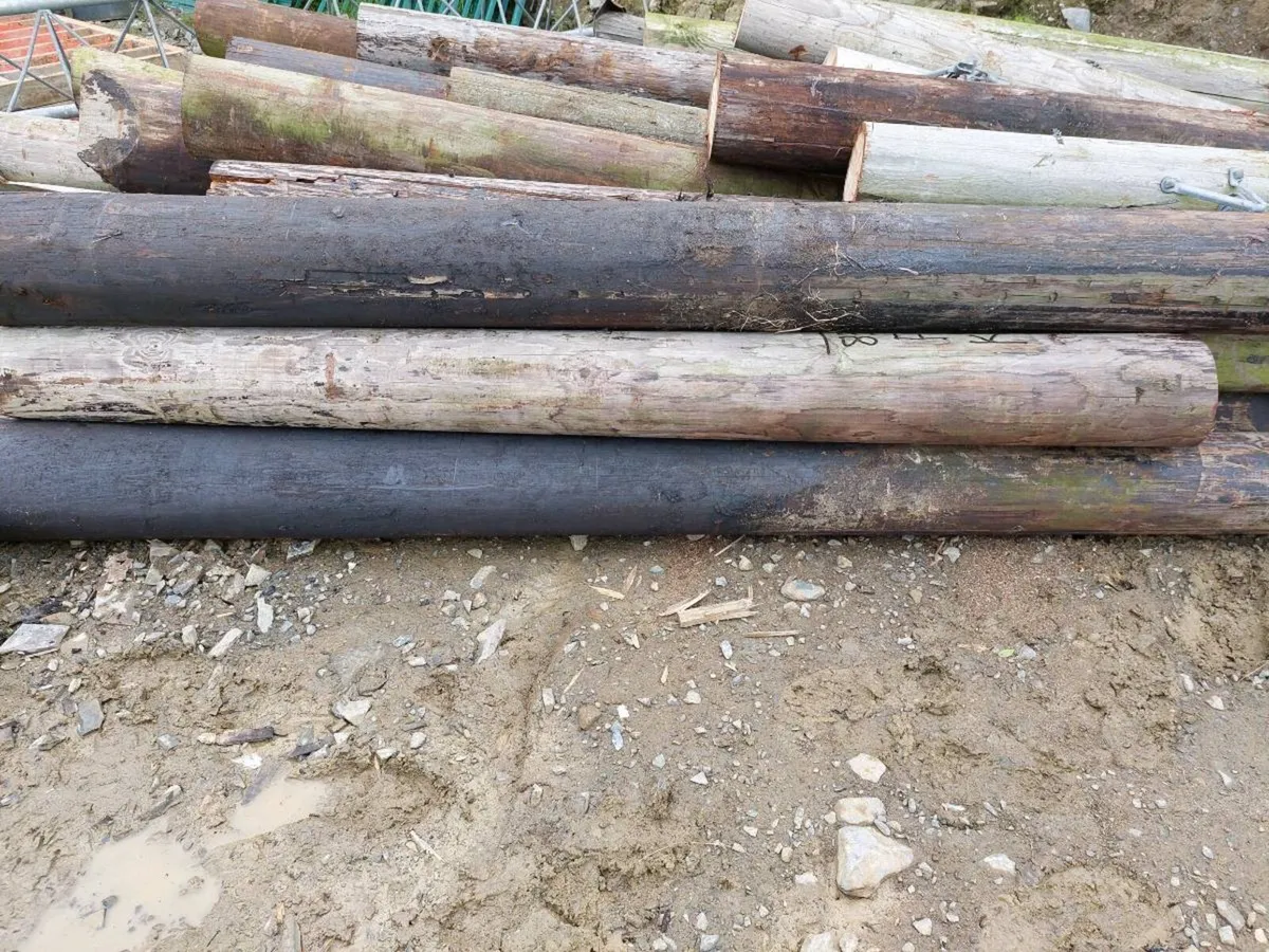 Gate posts heavy strainers - Image 1