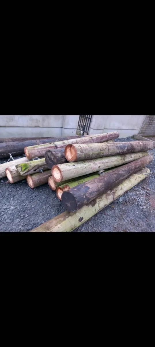 Gate posts heavy strainers - Image 2