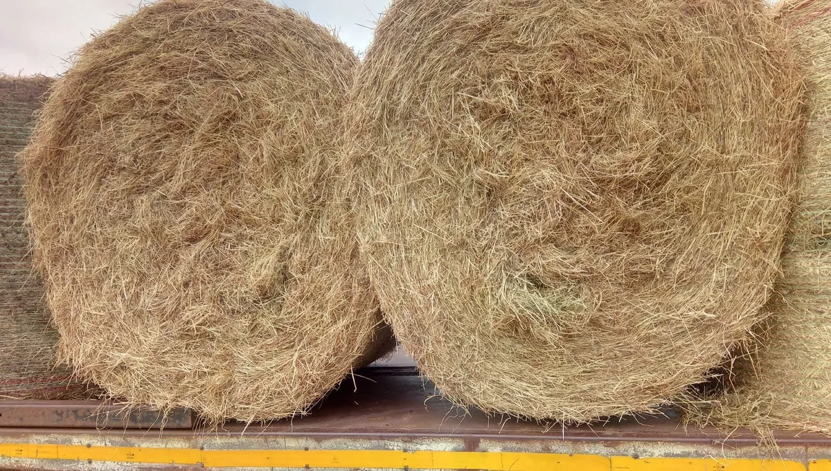 Round and small bales of June hay - Image 1