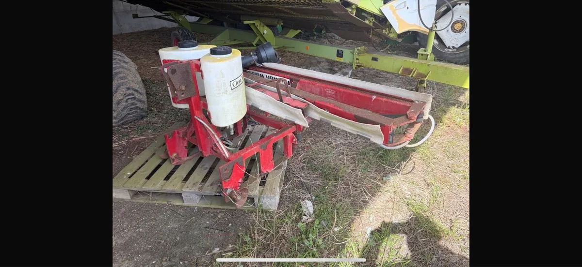 Weed licker fodder beet - Image 2