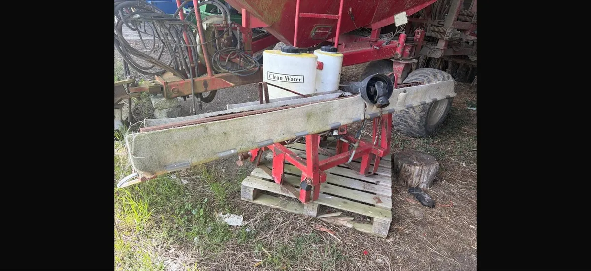 Weed licker fodder beet - Image 1