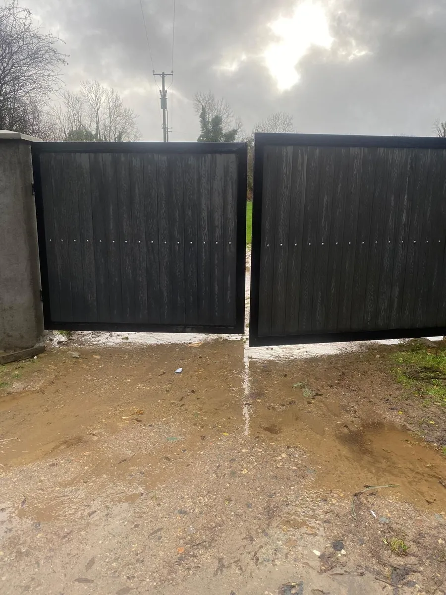 Steel gate - Image 1