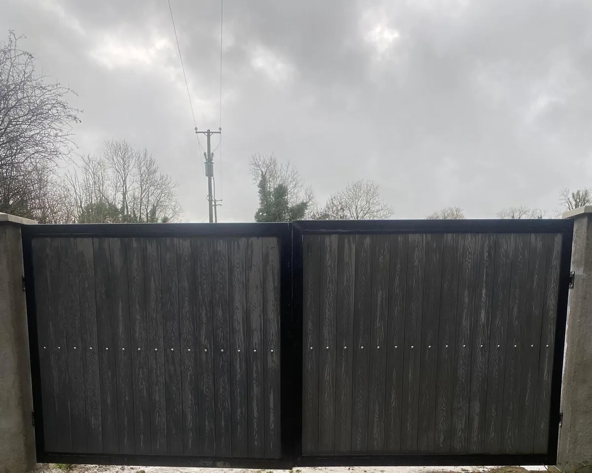 Steel gate - Image 4