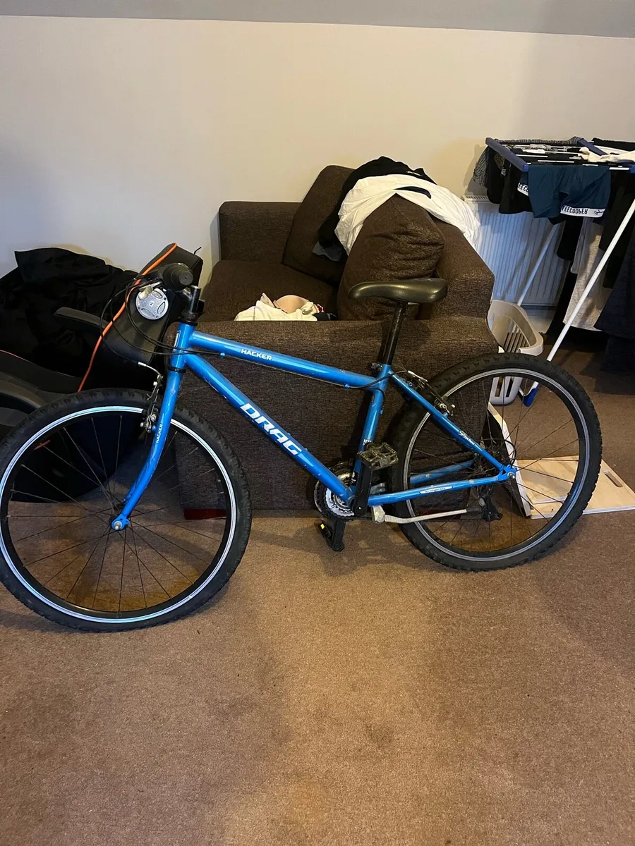 Mountain bike - Image 1