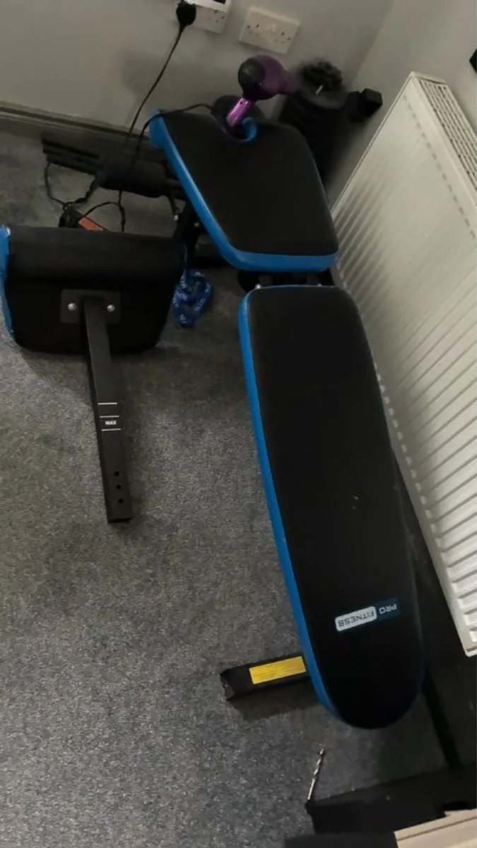 weight bench and weights - Image 1