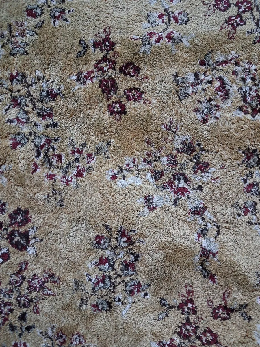 rug - Image 2