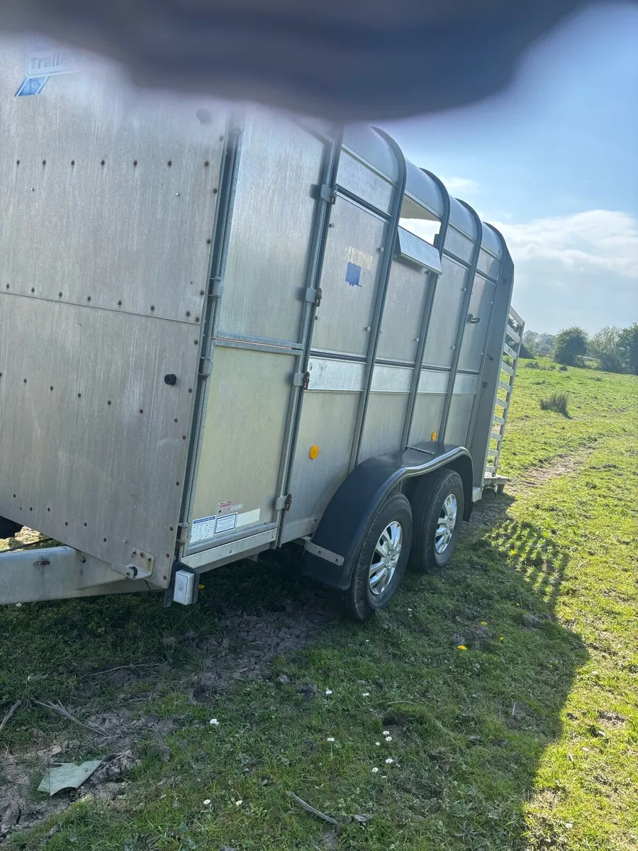 ifor williams cattle box - Image 1