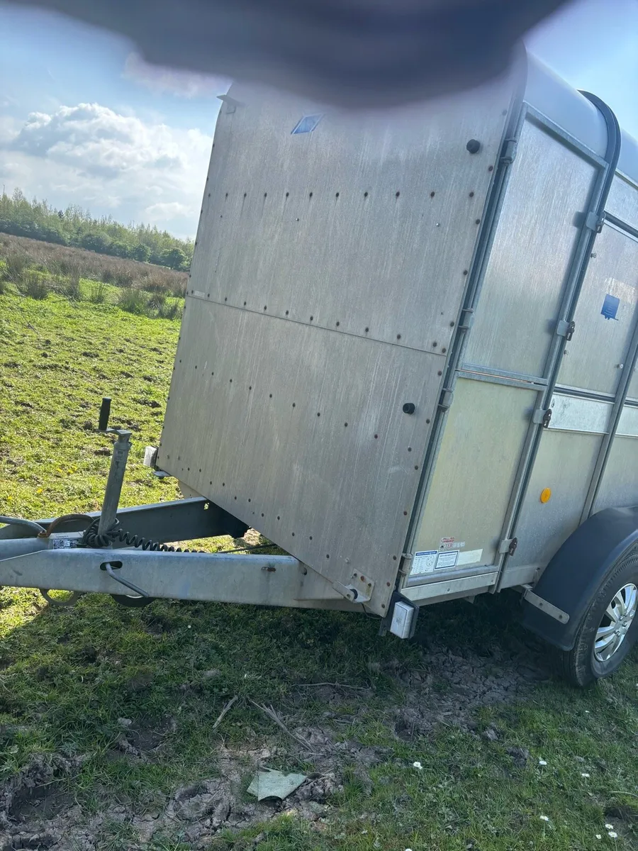 ifor williams cattle box - Image 2