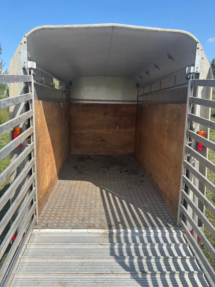 ifor williams cattle box - Image 3