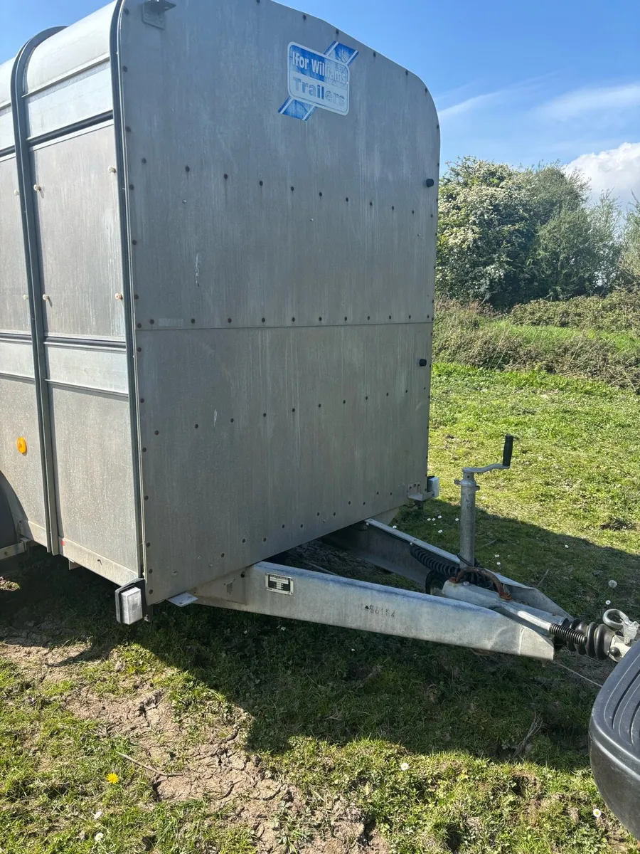 ifor williams cattle box - Image 4