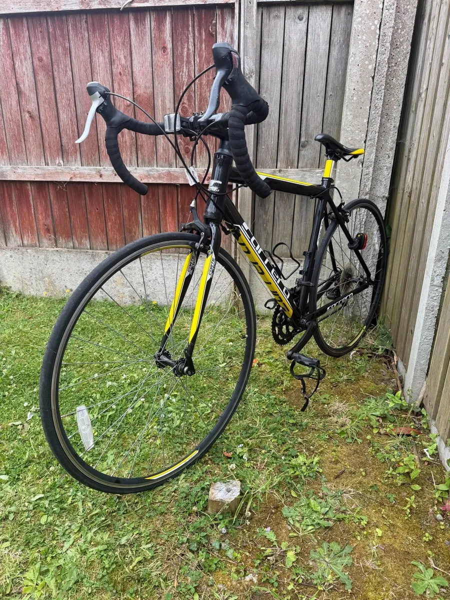Carrera TDF Road Bike - Image 2