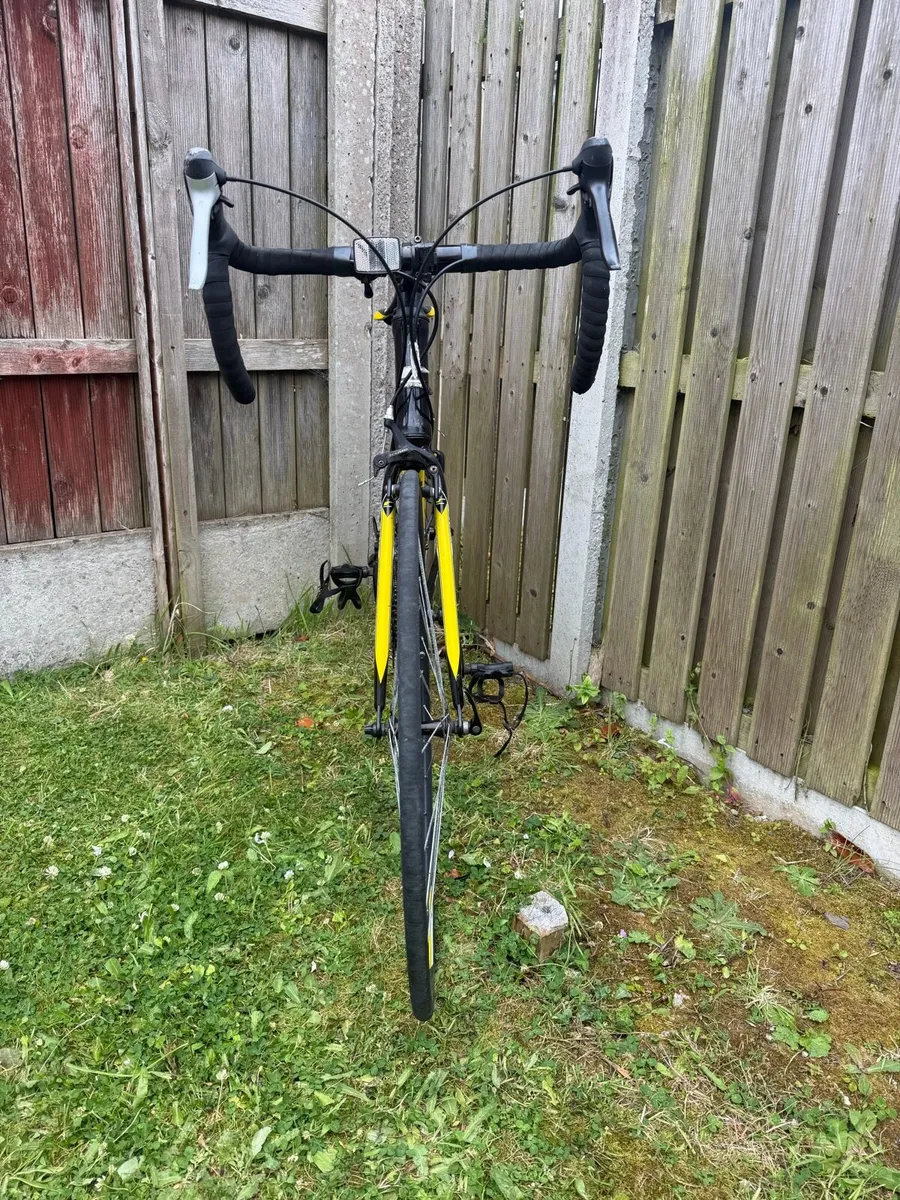 Carrera TDF Road Bike - Image 3