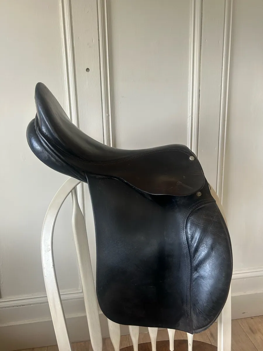 Saddle - Image 2