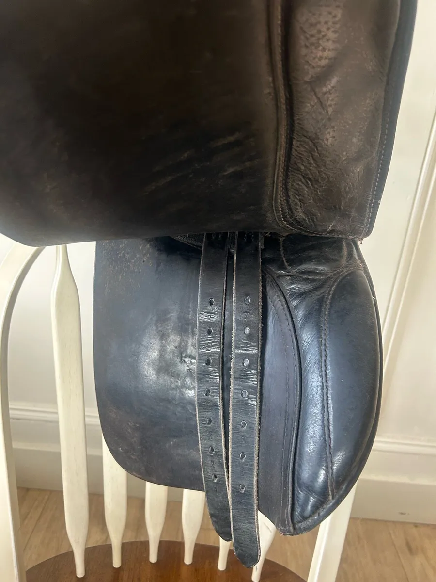 Saddle - Image 3
