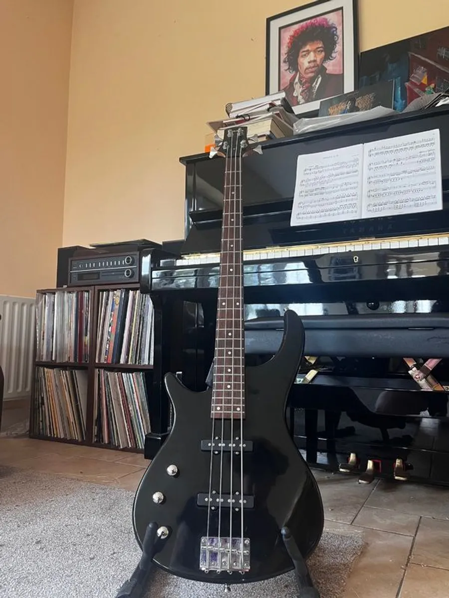 Left Handed Benson Bass Guitar - Image 1