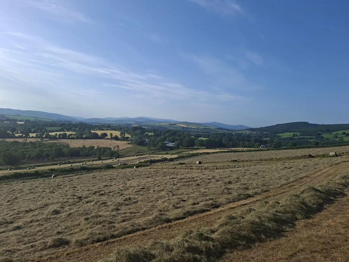 Hay For Sale North Wexford - Image 1