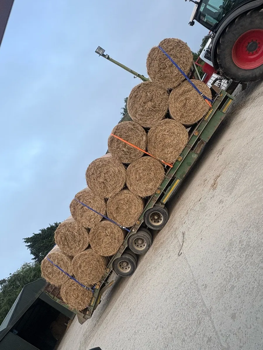 Hay for sale - Image 1