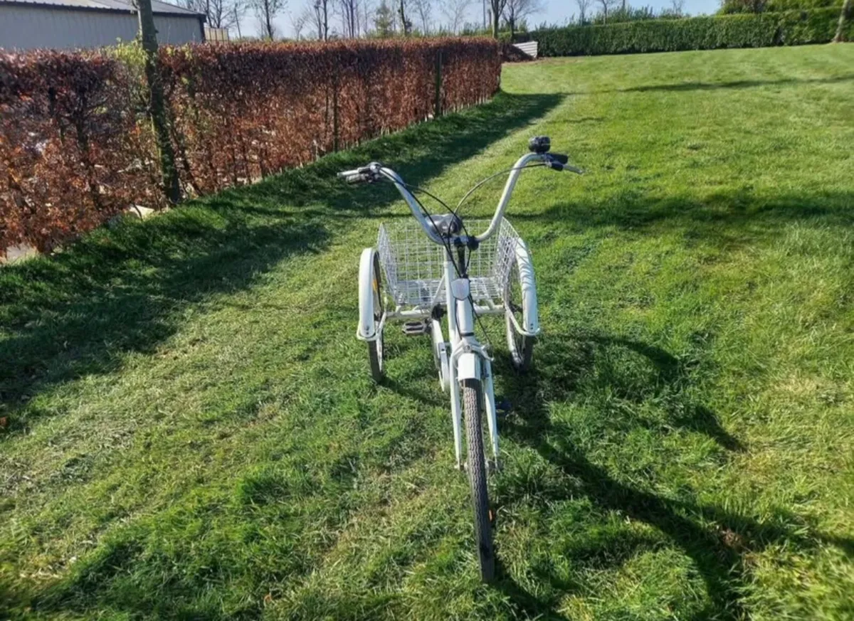White Adult Tricycle / 3 wheel trike - Image 2