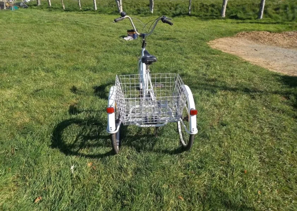 White Adult Tricycle / 3 wheel trike - Image 3