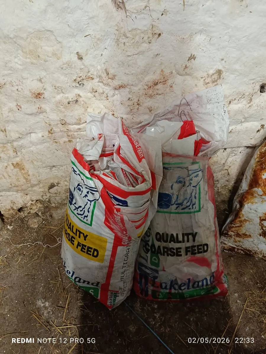 Bags - Image 4
