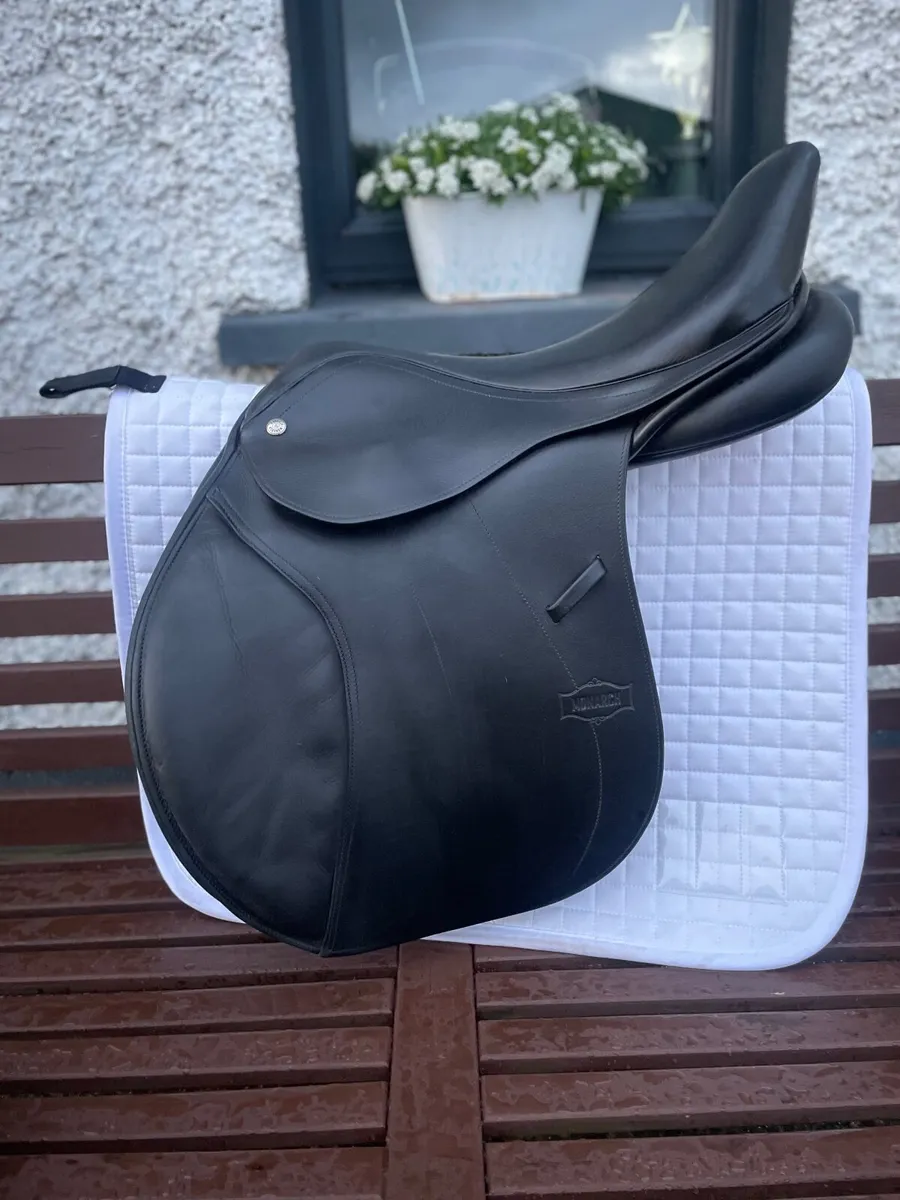 Saddle - Image 1